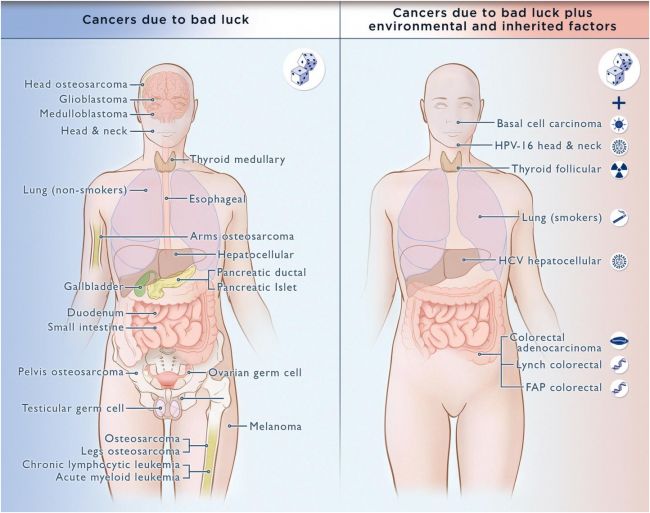 Sindromul cancerului ereditar – genetica și cancerul